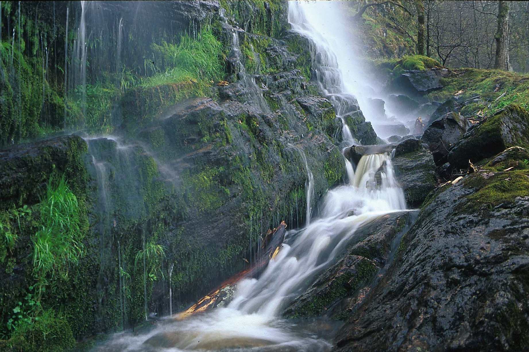 Kviströms naturreservat