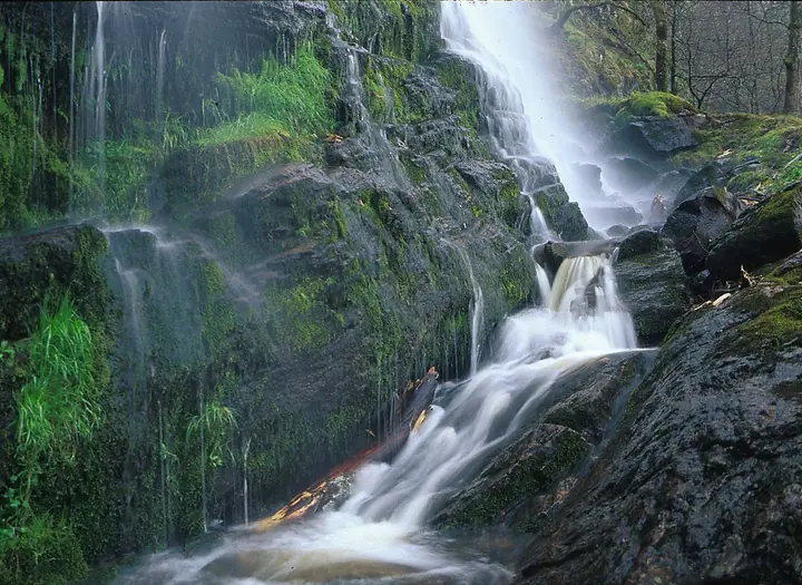 Kviströms naturreservat med Brudslöjan