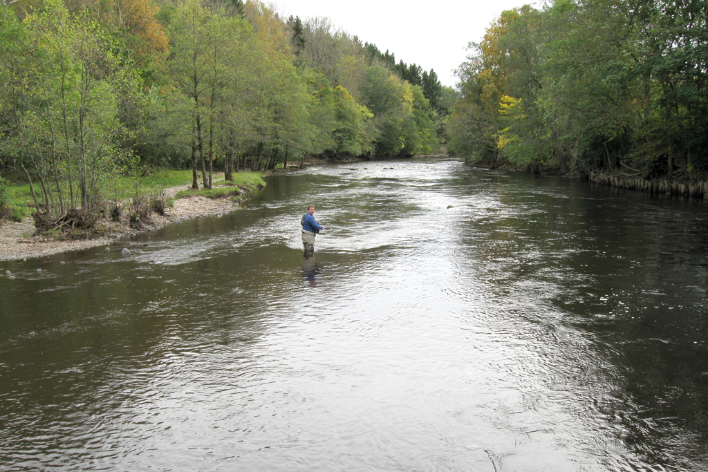 Bild av fiske vid Sammaflödet.