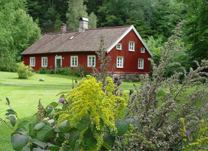 Gamla Bruket