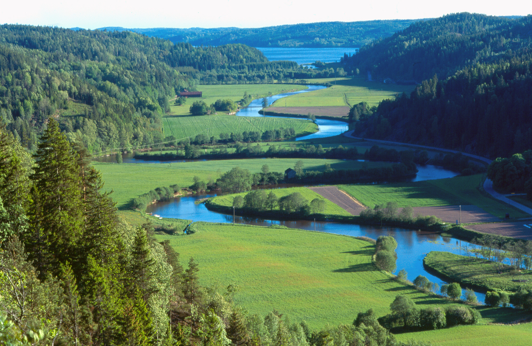 Bild från Gunnarsbo - vår.