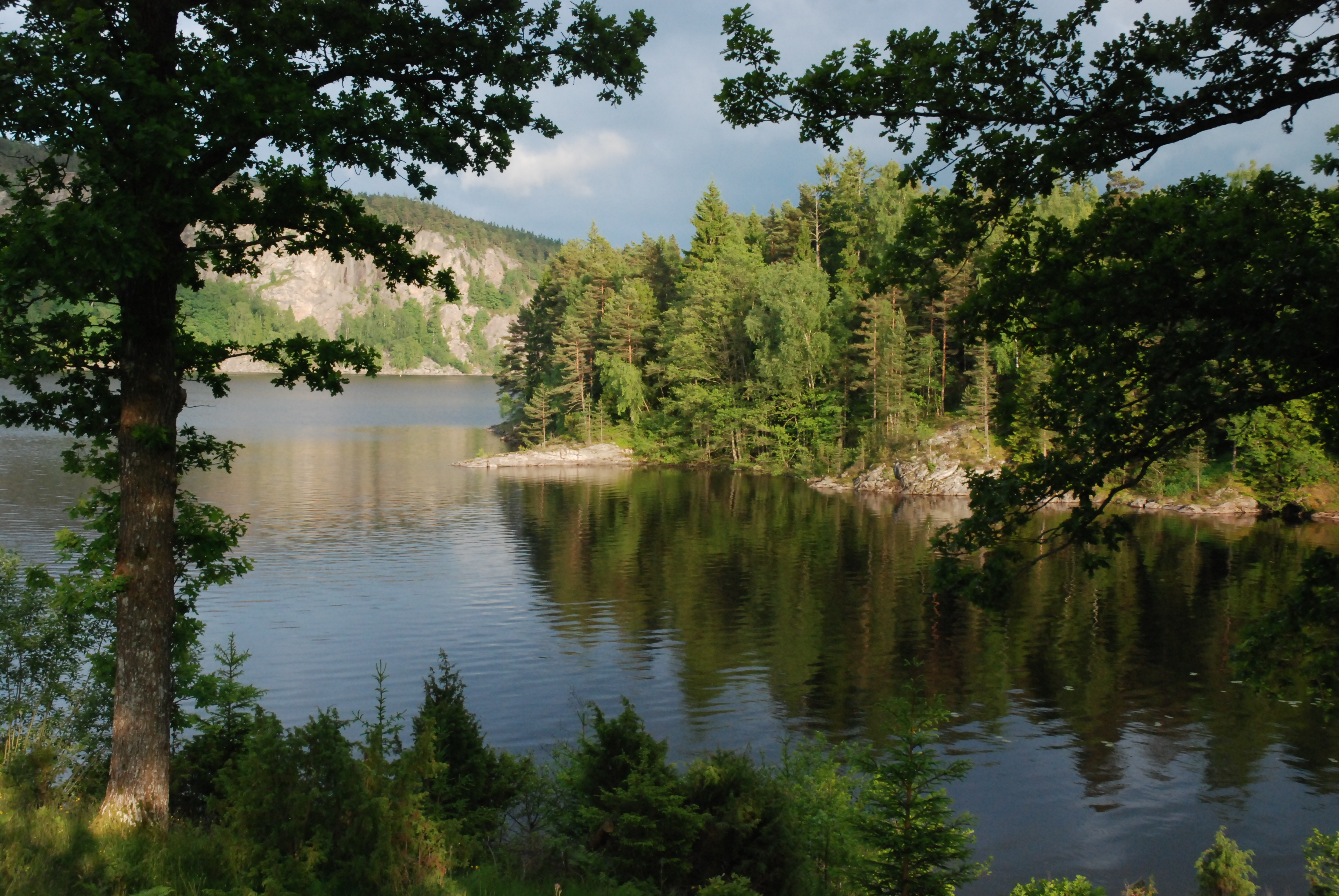 Natur- och grönområden