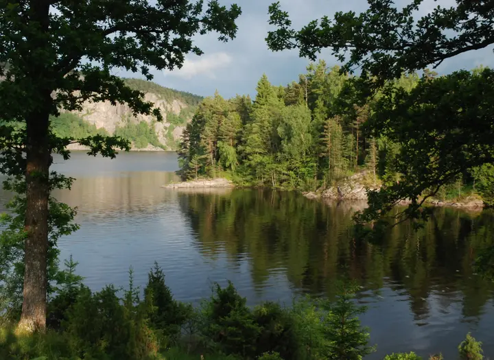 Natur och grönområden