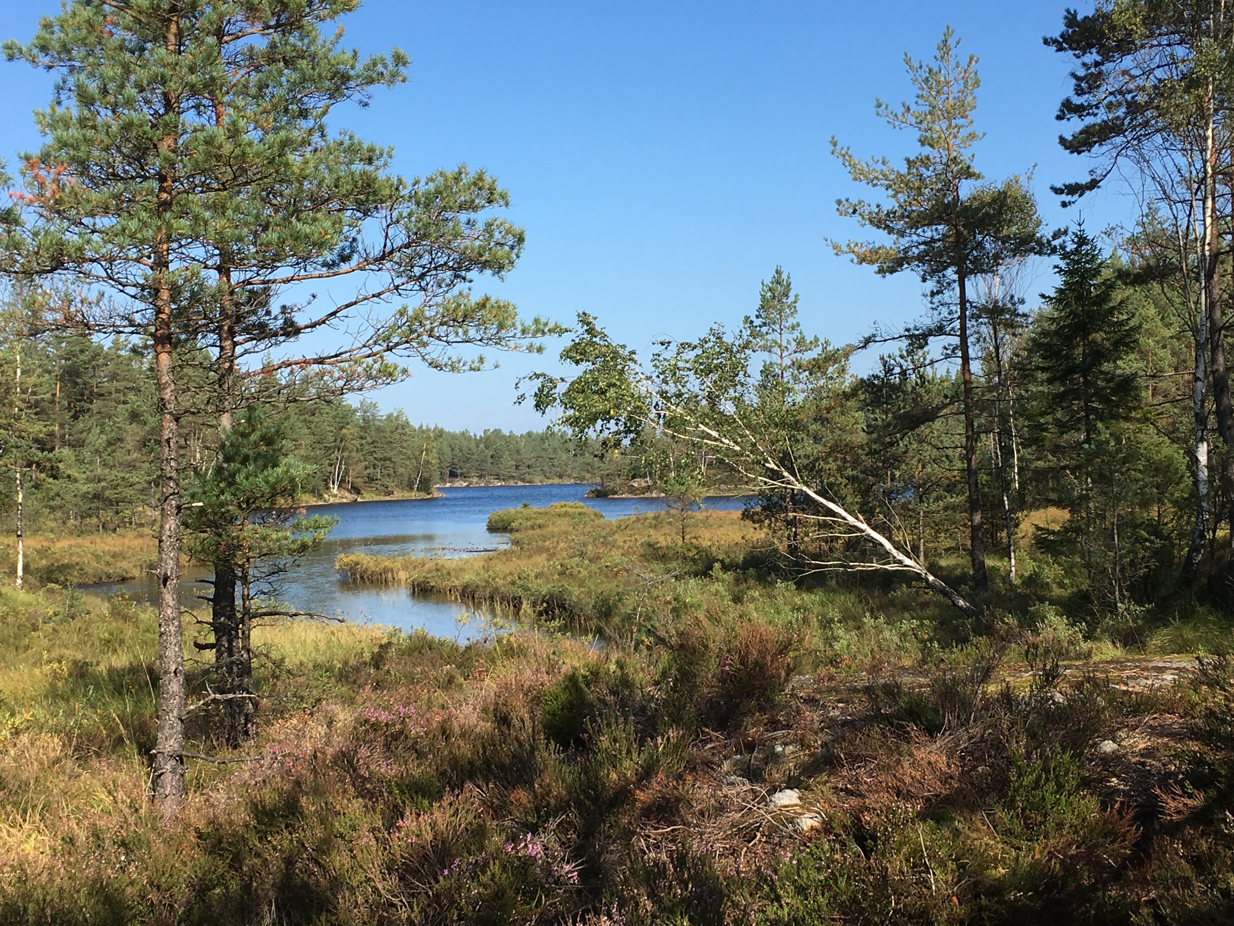 2021 Paket 3 - vandring Hensbacka Herrgård