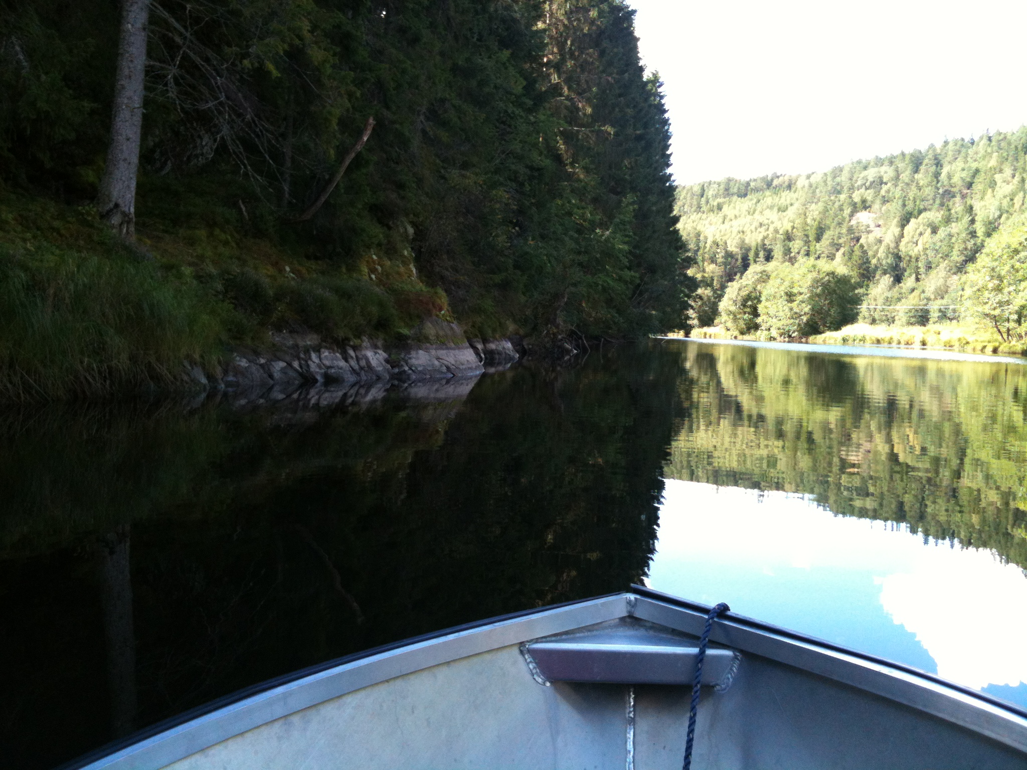 Photo of lake at Kynnefjäll.