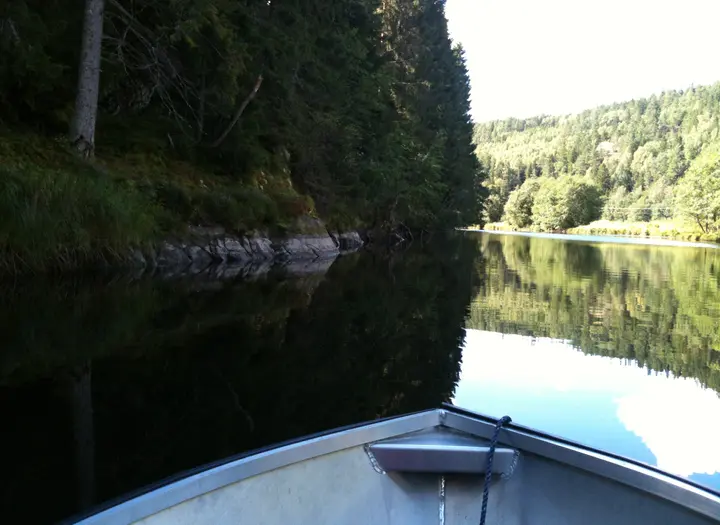 Tovtjärnsvattnet