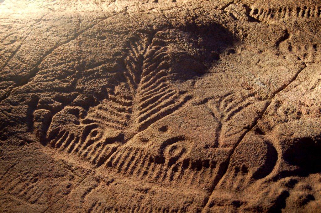 Photo of the rock carving at Lökeberg.