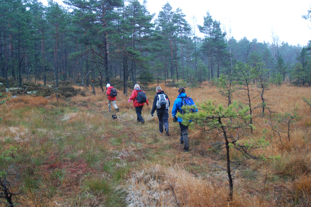 2021 Paket 3 - vandra hep Kynnefjälls Natur
