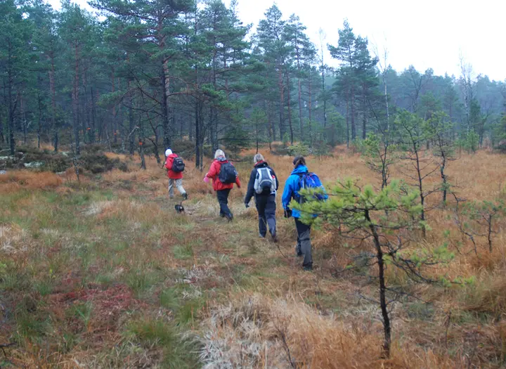 VANDRINGSPAKET MED HELPENSION