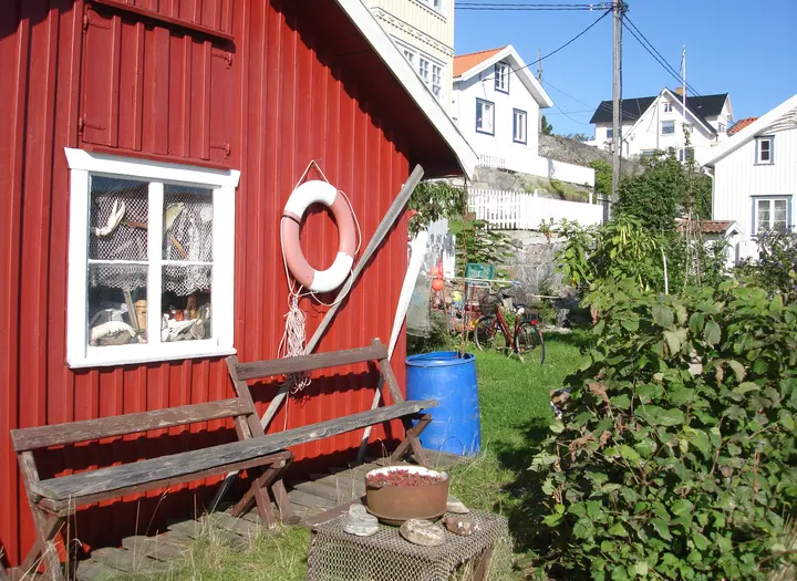 Ön Hälsö