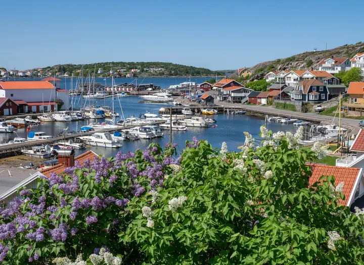 Ön Björkö