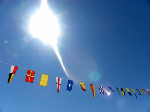 Hela sommarens program