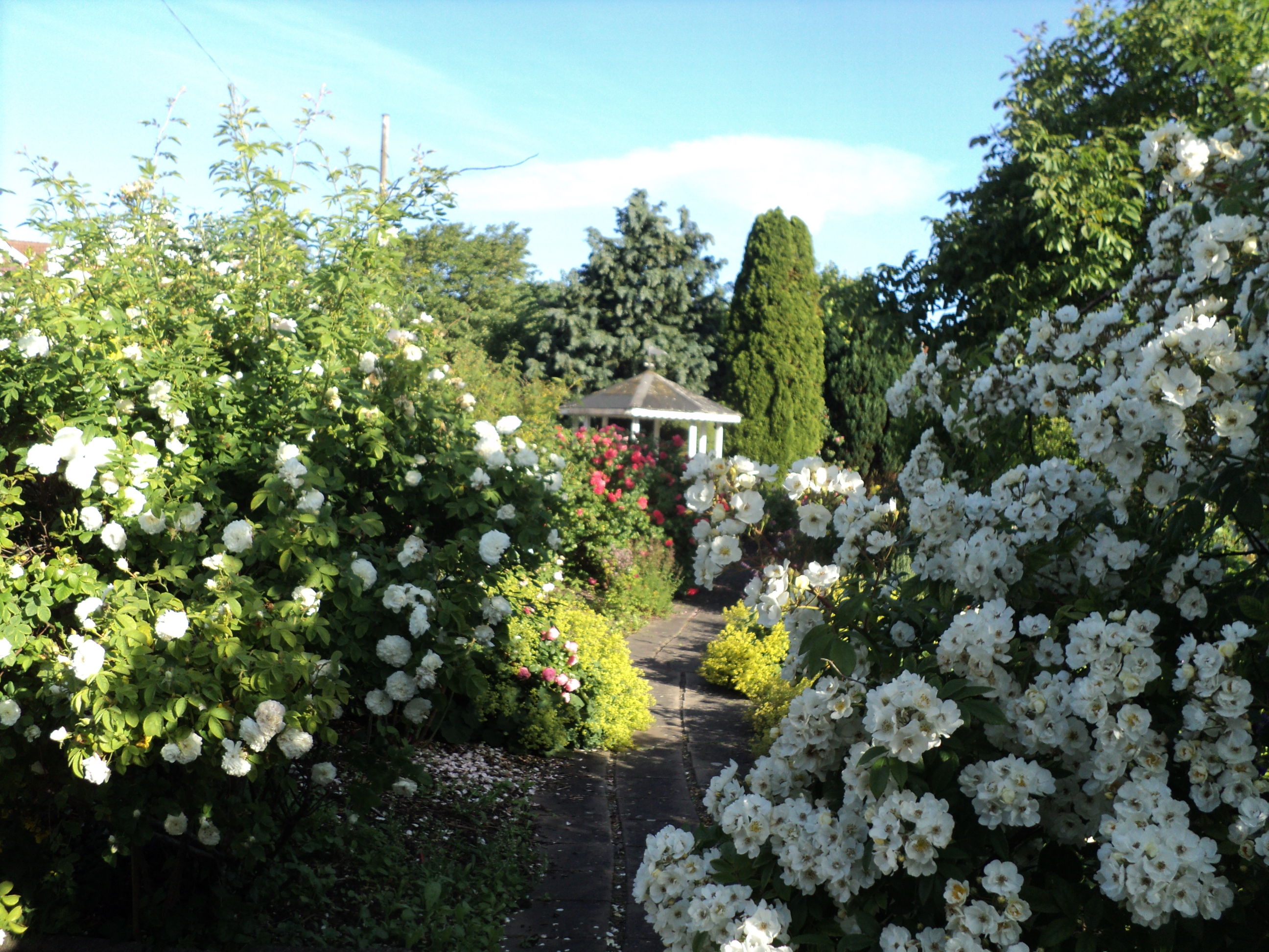 Öckerö Örtagård