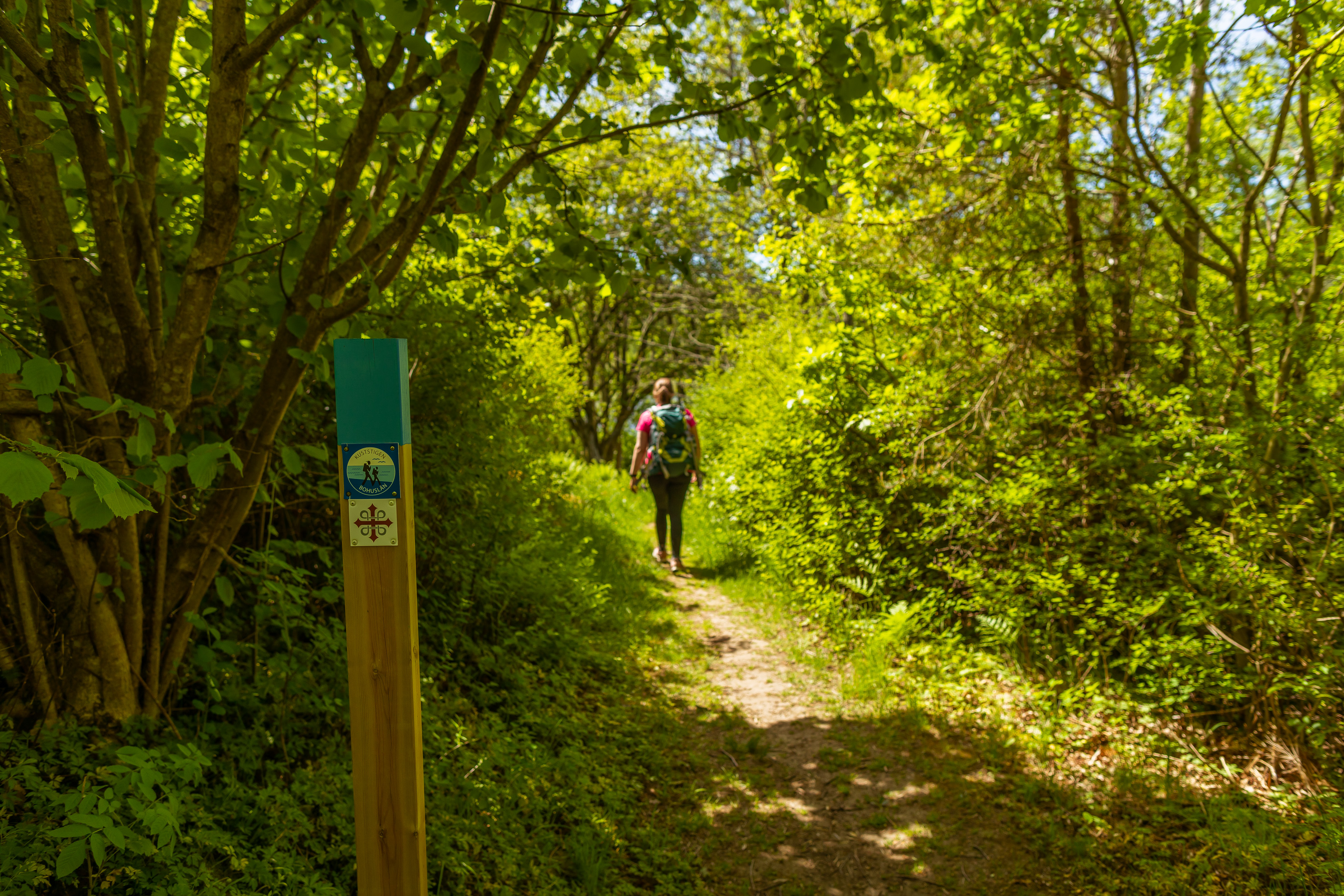 Kuststigen och Pilgrimsleden Orust 