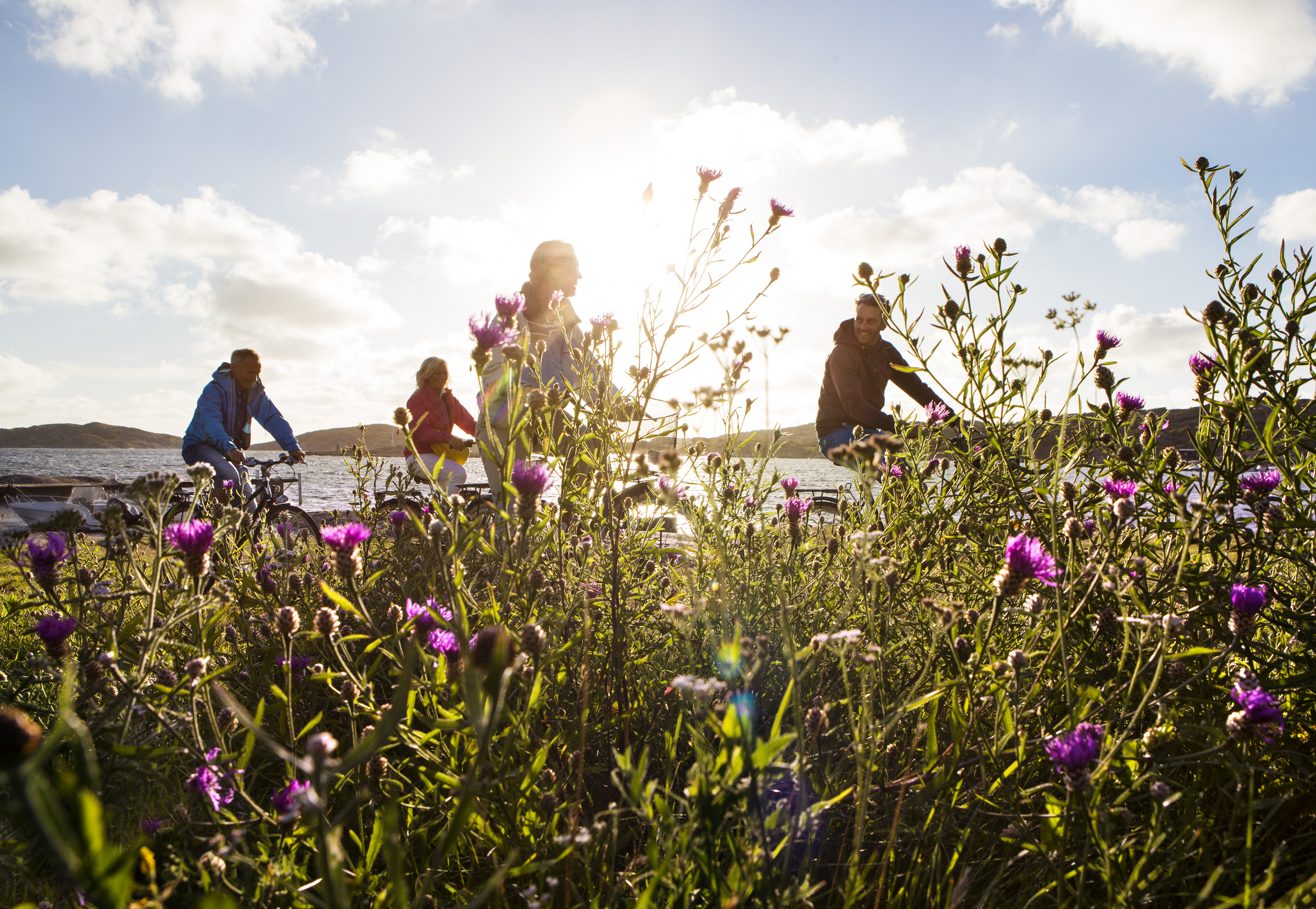 Cykel
Orust
blommor