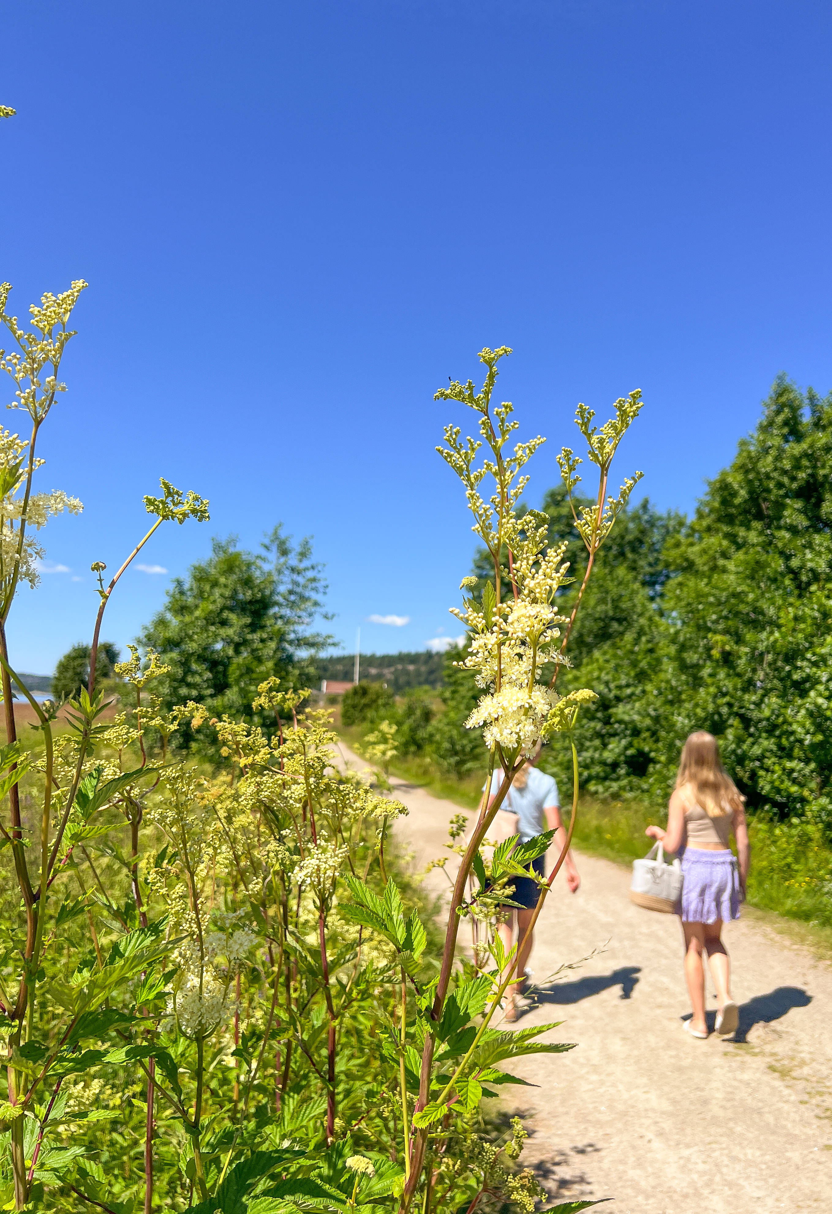 Småholmarna badplats i Henån 