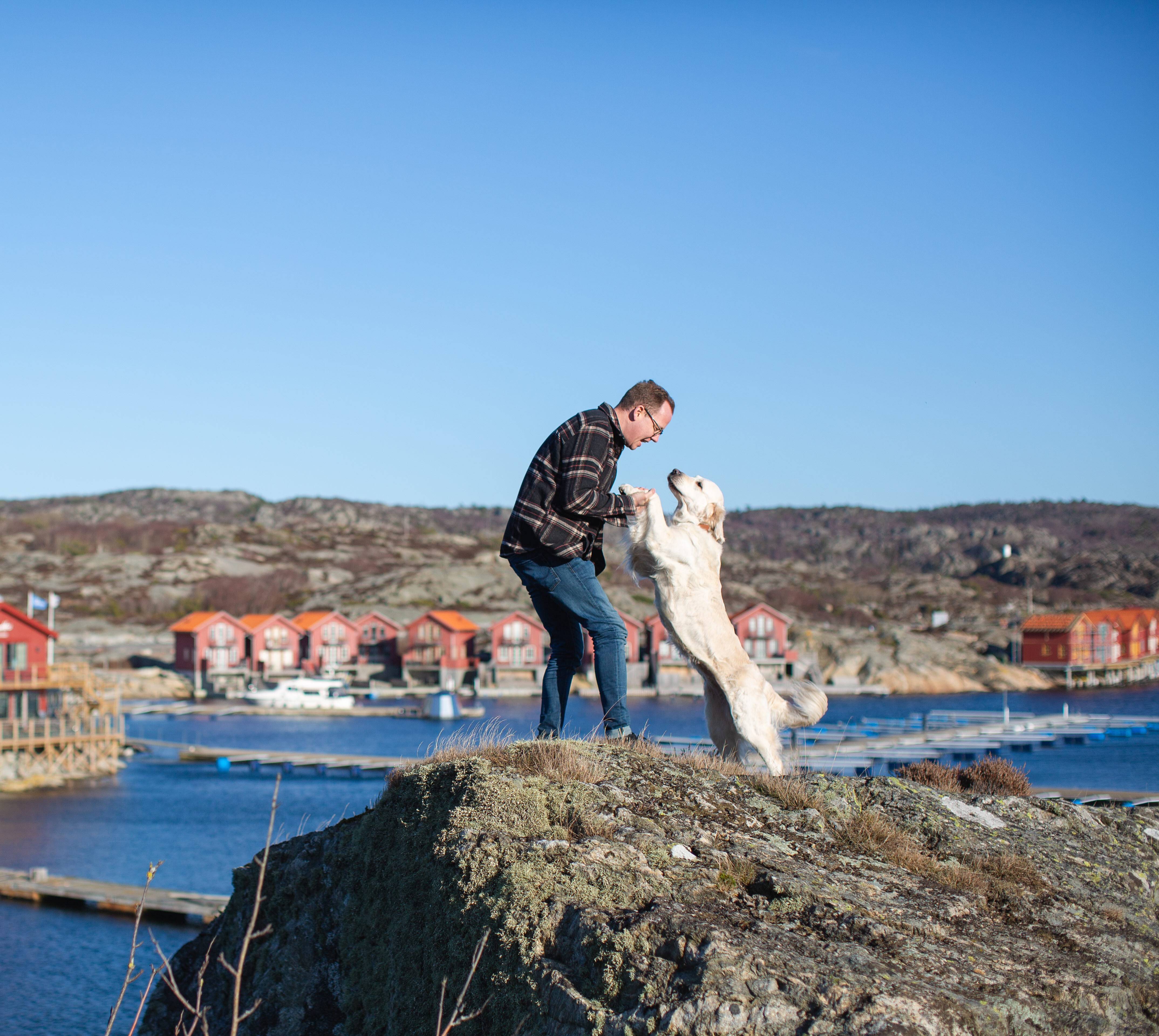 Hotel Strana Hälleviksstrand hund