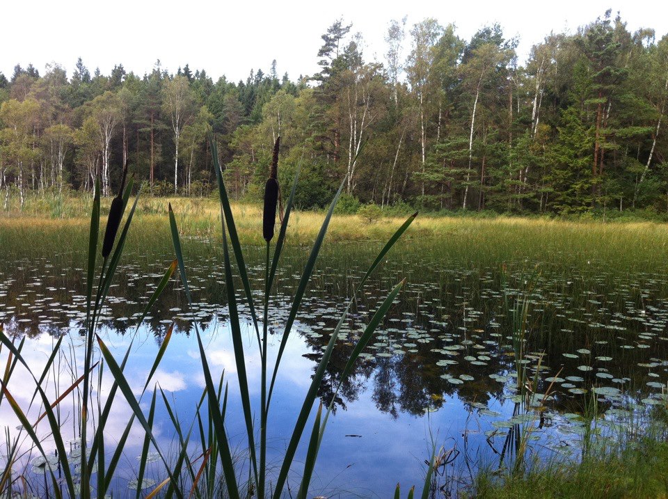 kultehamn vandringsled