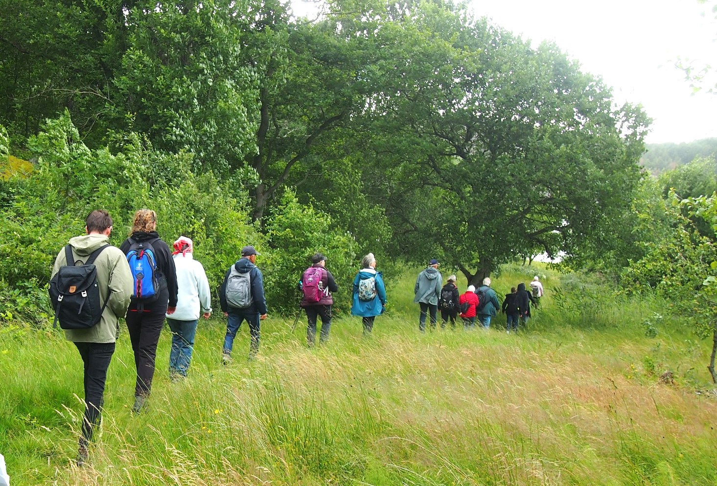 Svenska kyrkan Tjörn