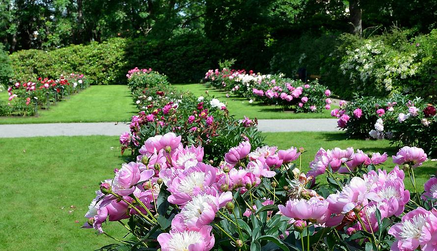 Annelundsparken, Borås