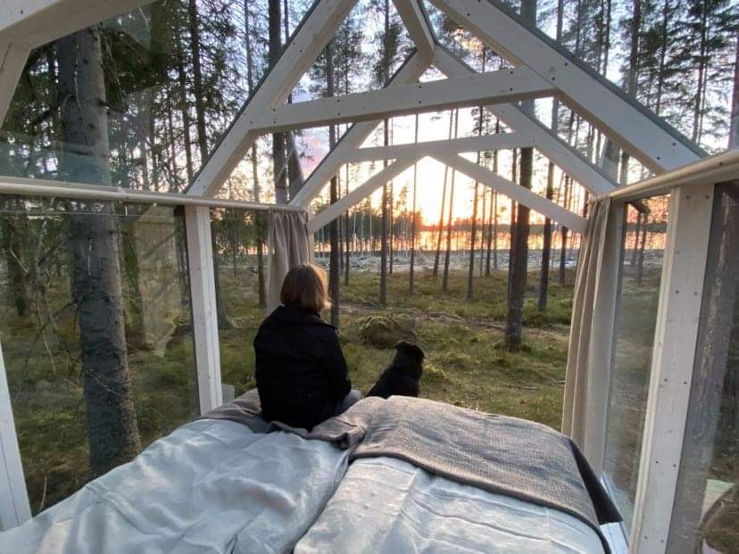 Glashus hos Erikson Cottage