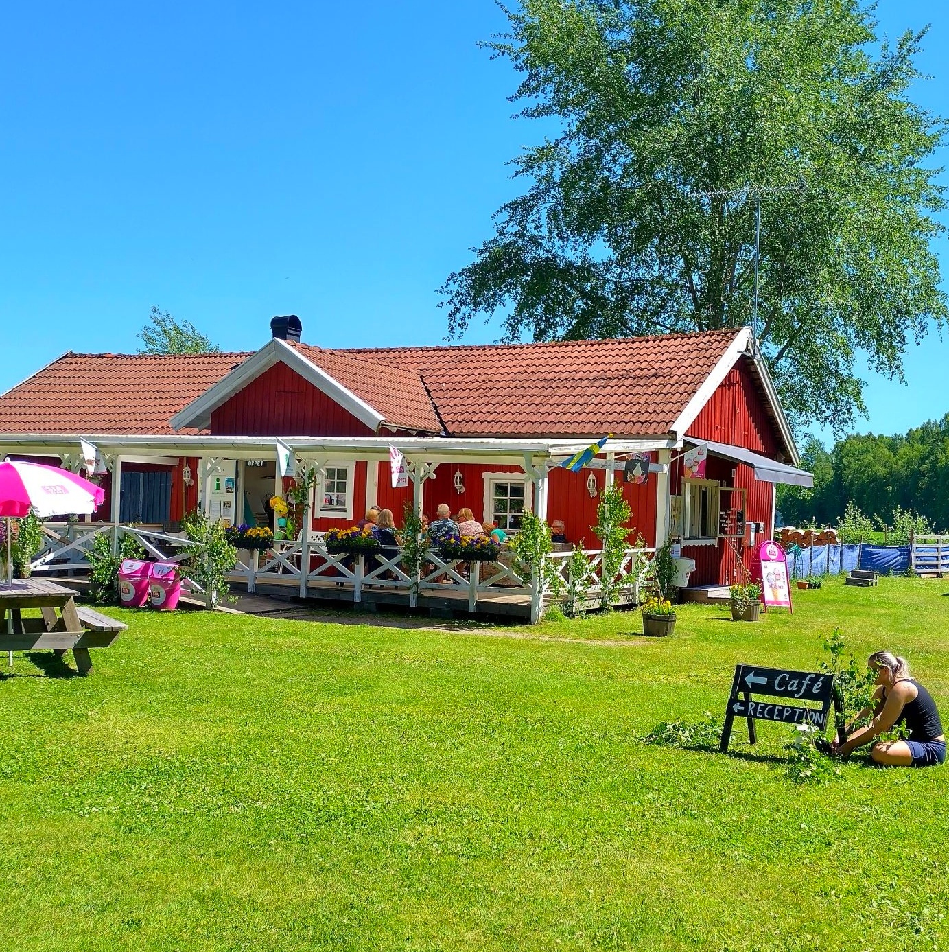 holsljunga camping cafestuga