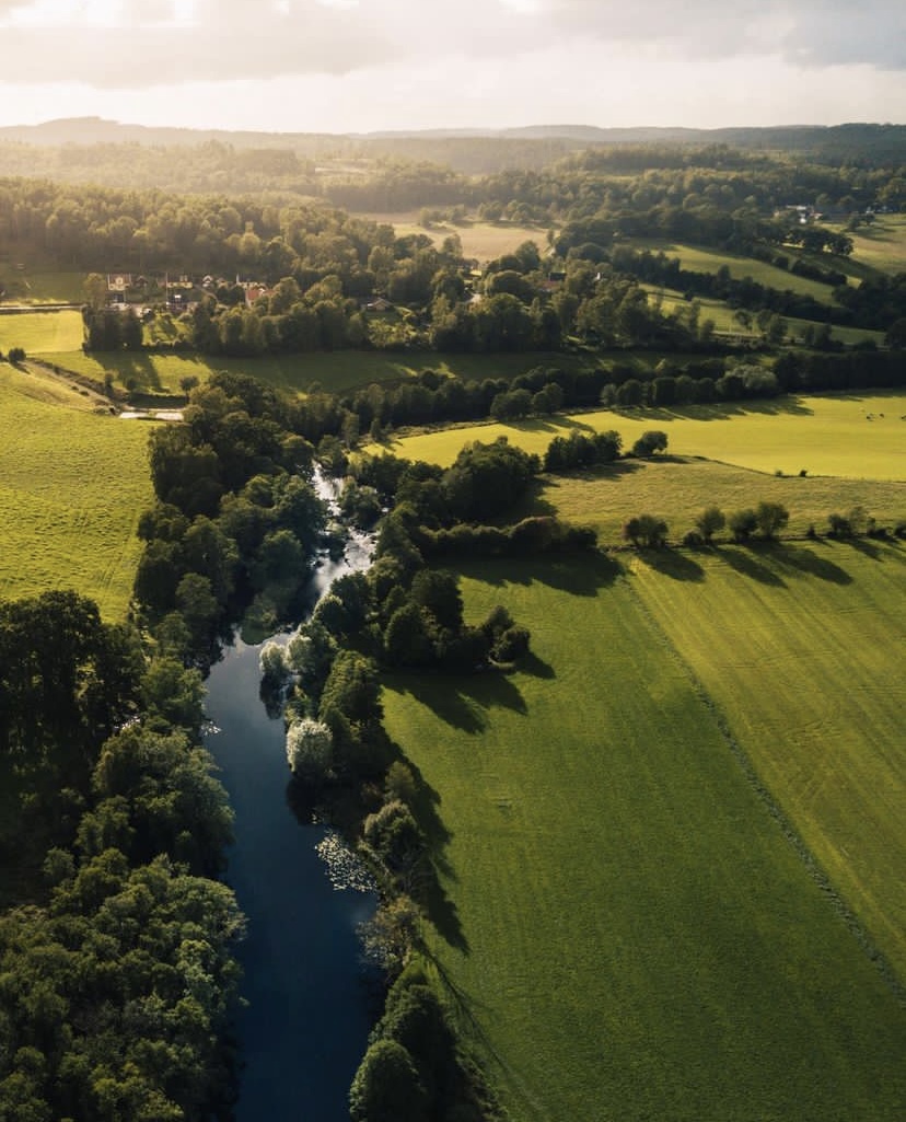 Viskan sträcker sig genom klassiskt Sjuhäradslandskap, skog och åkrar