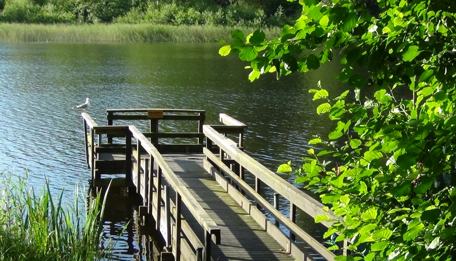 Hestra Friluftsområde / Kolbränningen