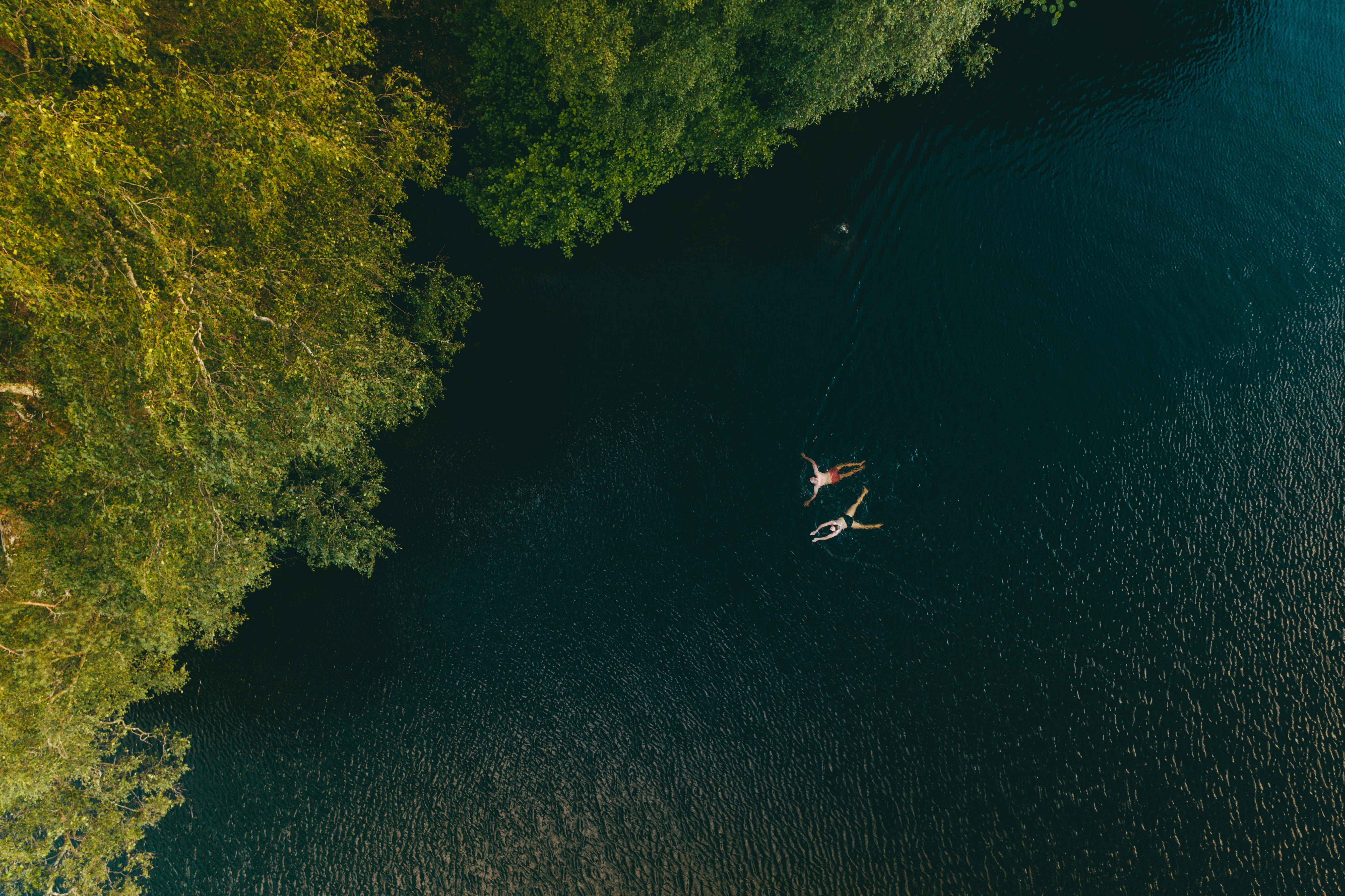 Två personer simmar i en sjö. Bilden tagen uppifrån.