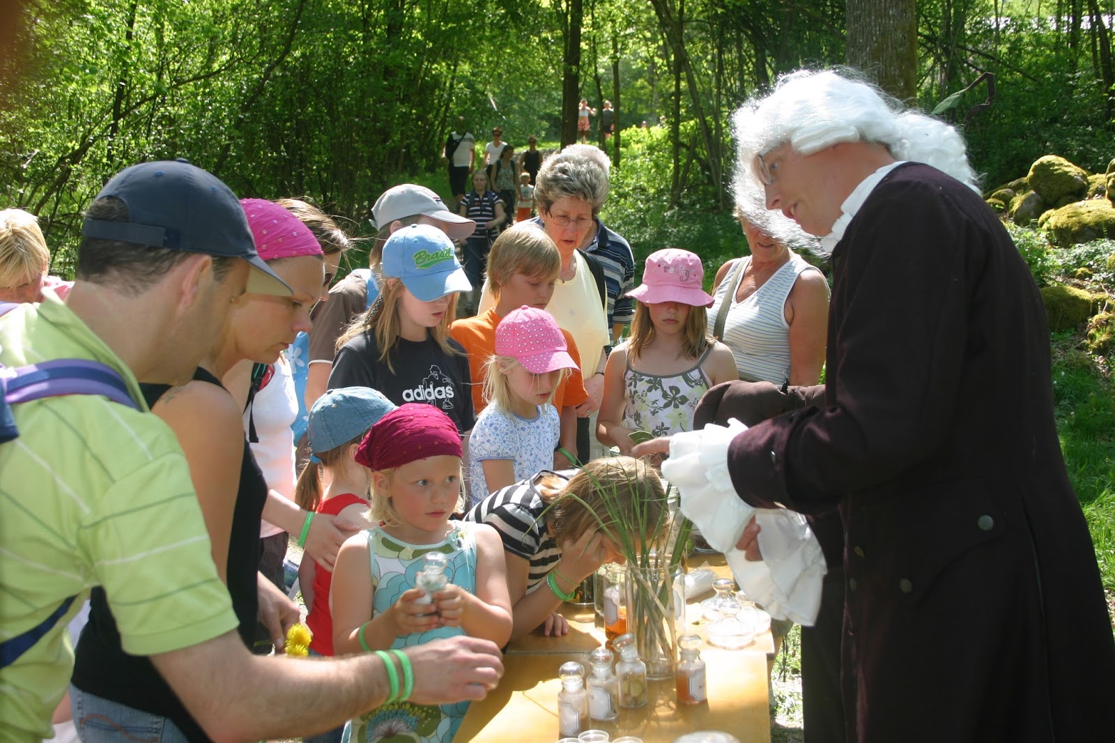 Linnémarschen, Carl von Linné