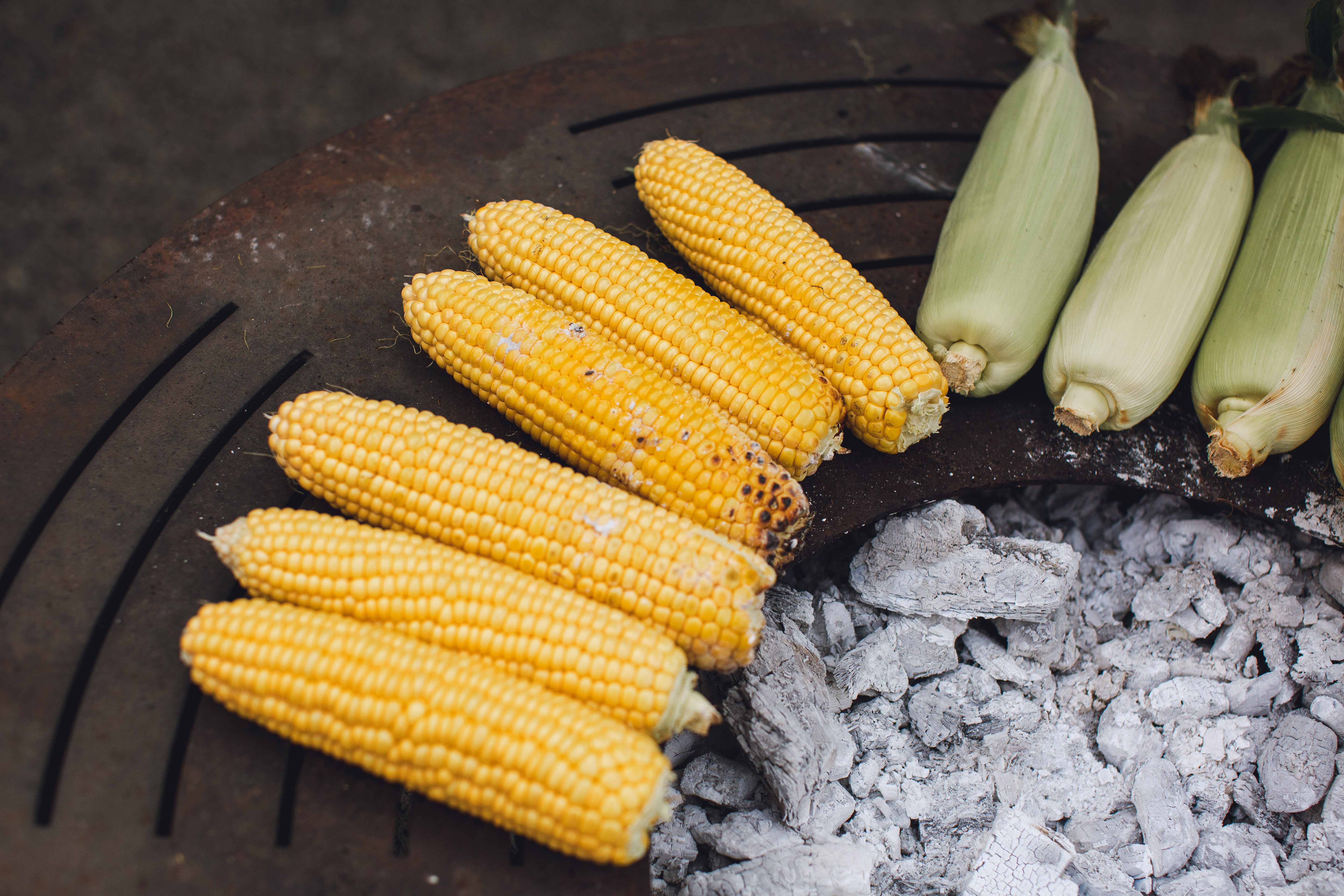 Yellow corn cobs.