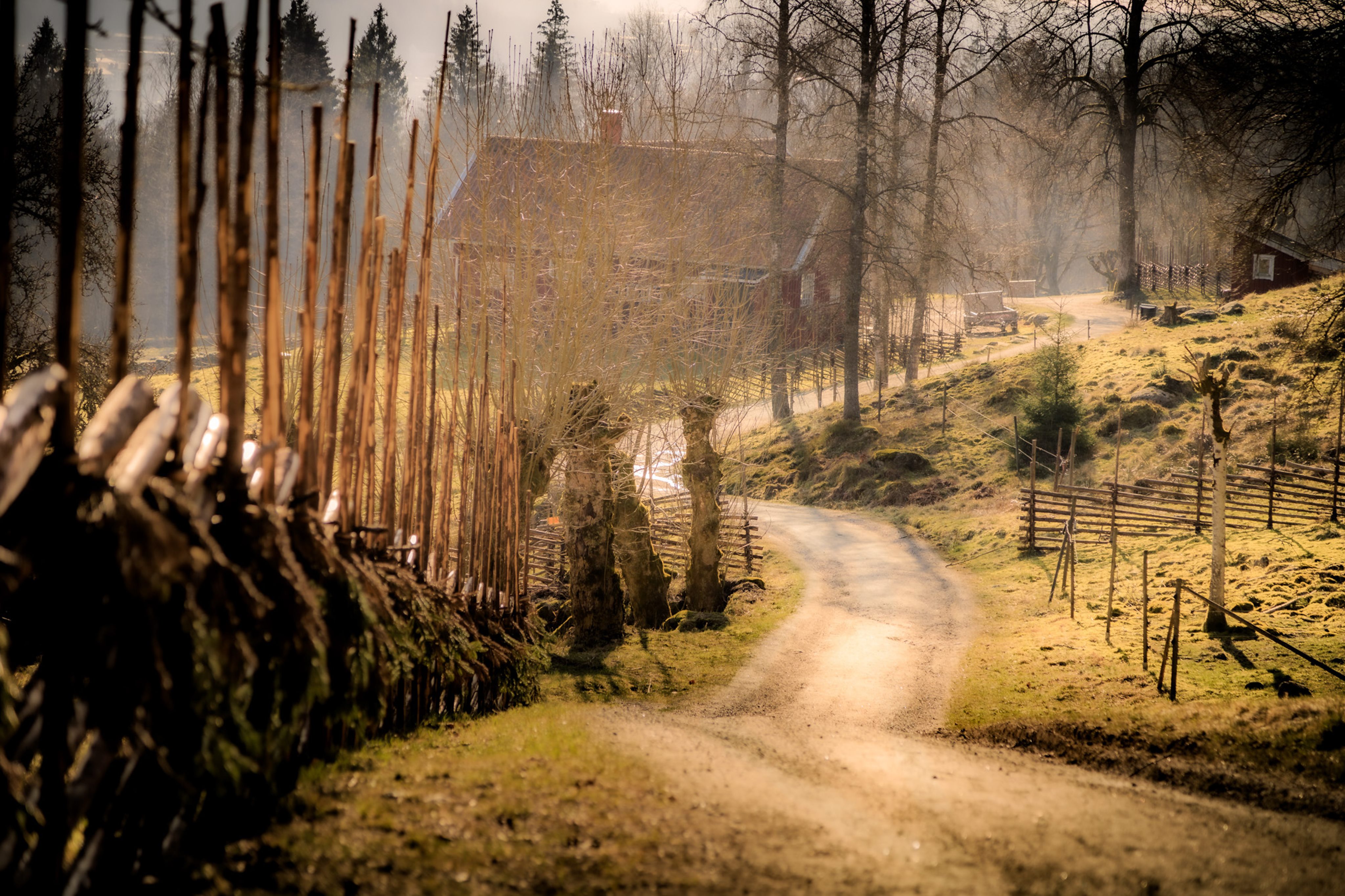 Rya Åsar Nature Reserve, Borås