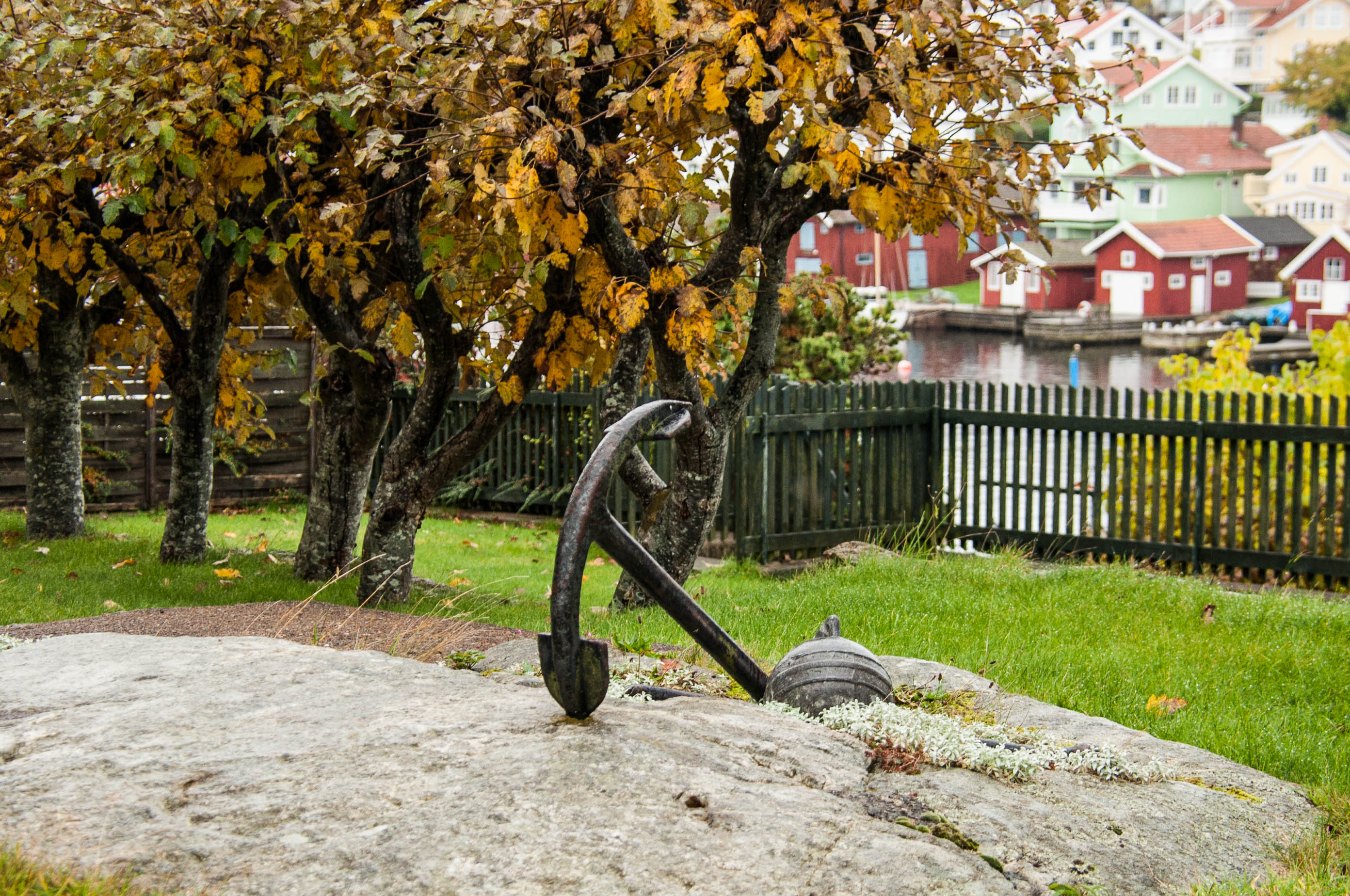 Autumn colours on Östersidan Skaftö