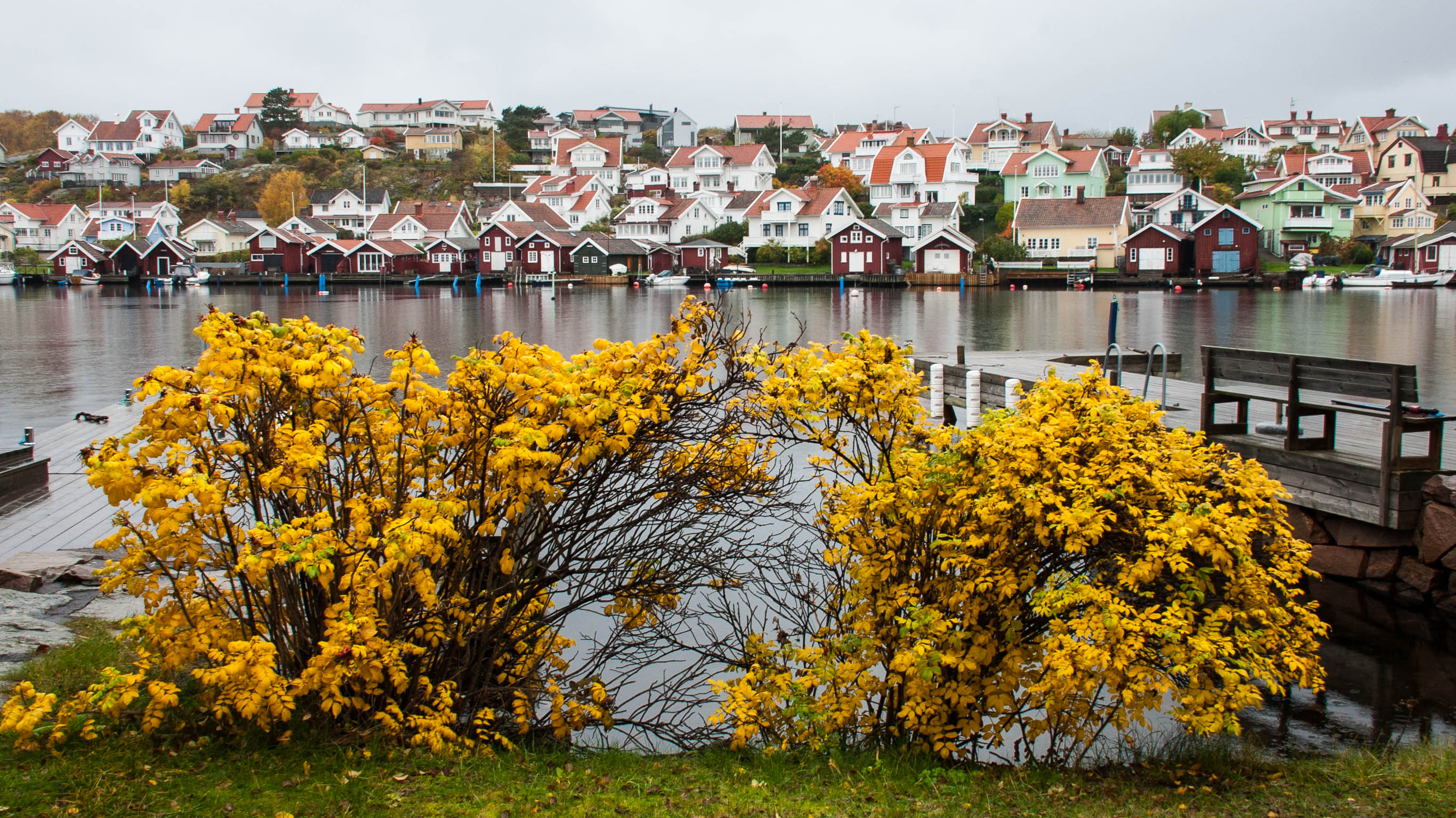 Autumn colours on Östersidan Skaftö