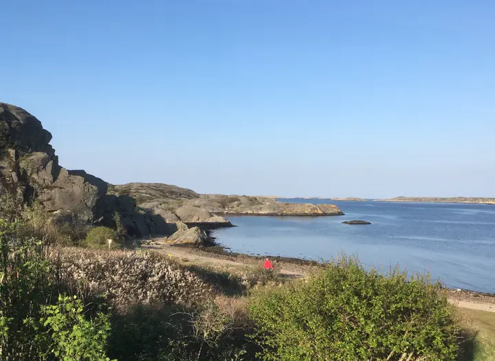 Munkevik