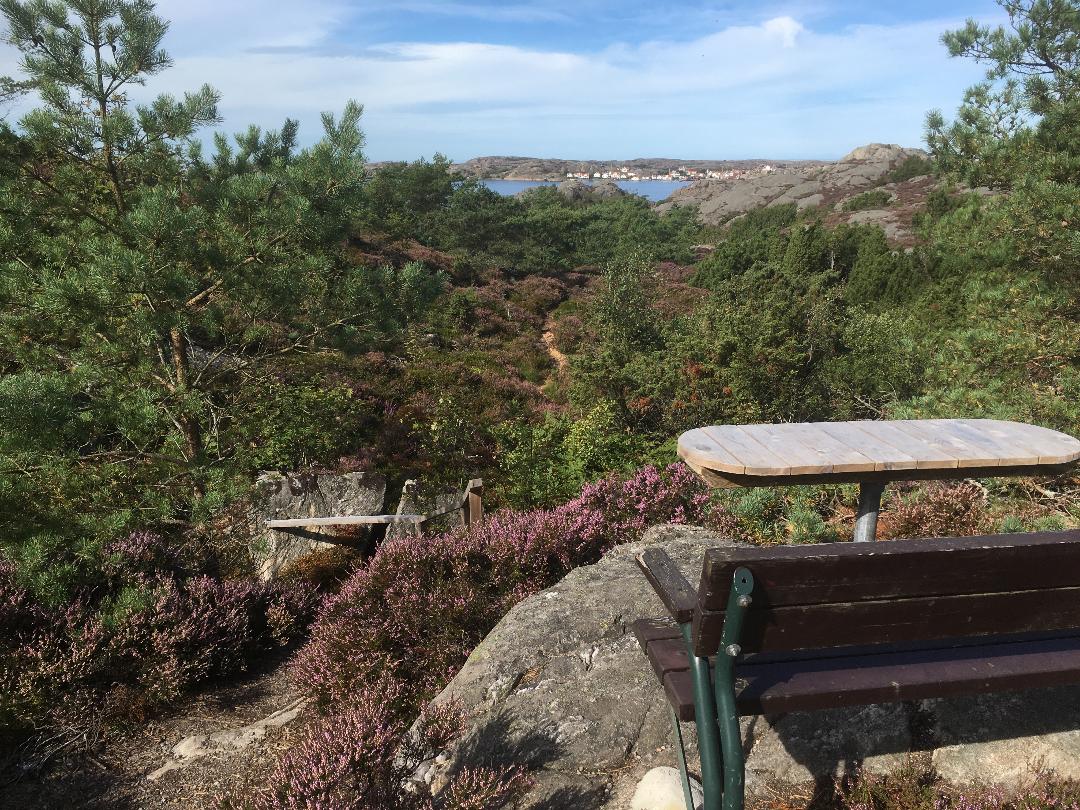 Munkeviksleden på Skaftö höst