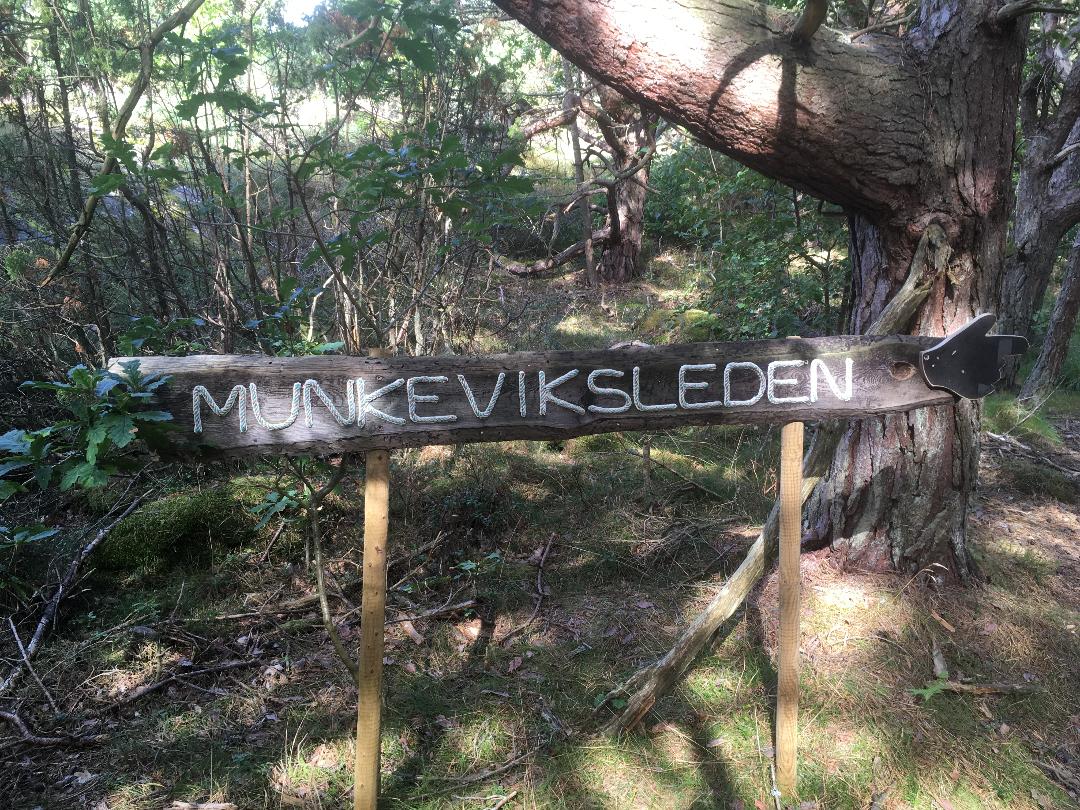 Munkeviksleden på Skaftö höst
