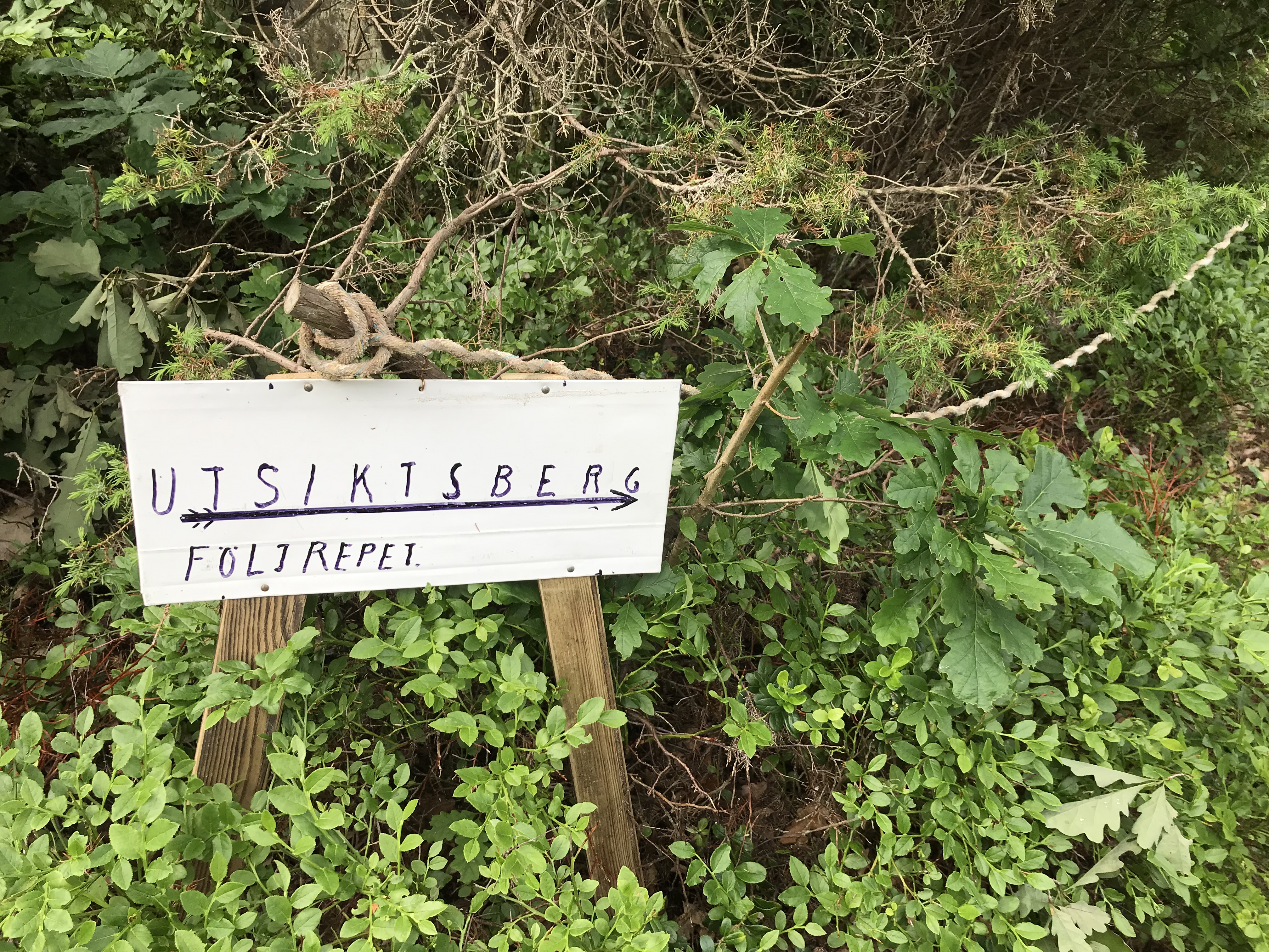 Skaftö Runes stig Tornet