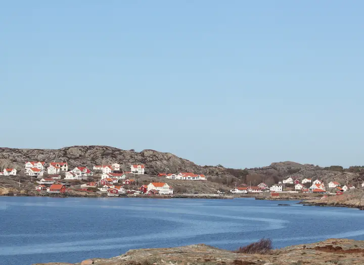 Stockevik