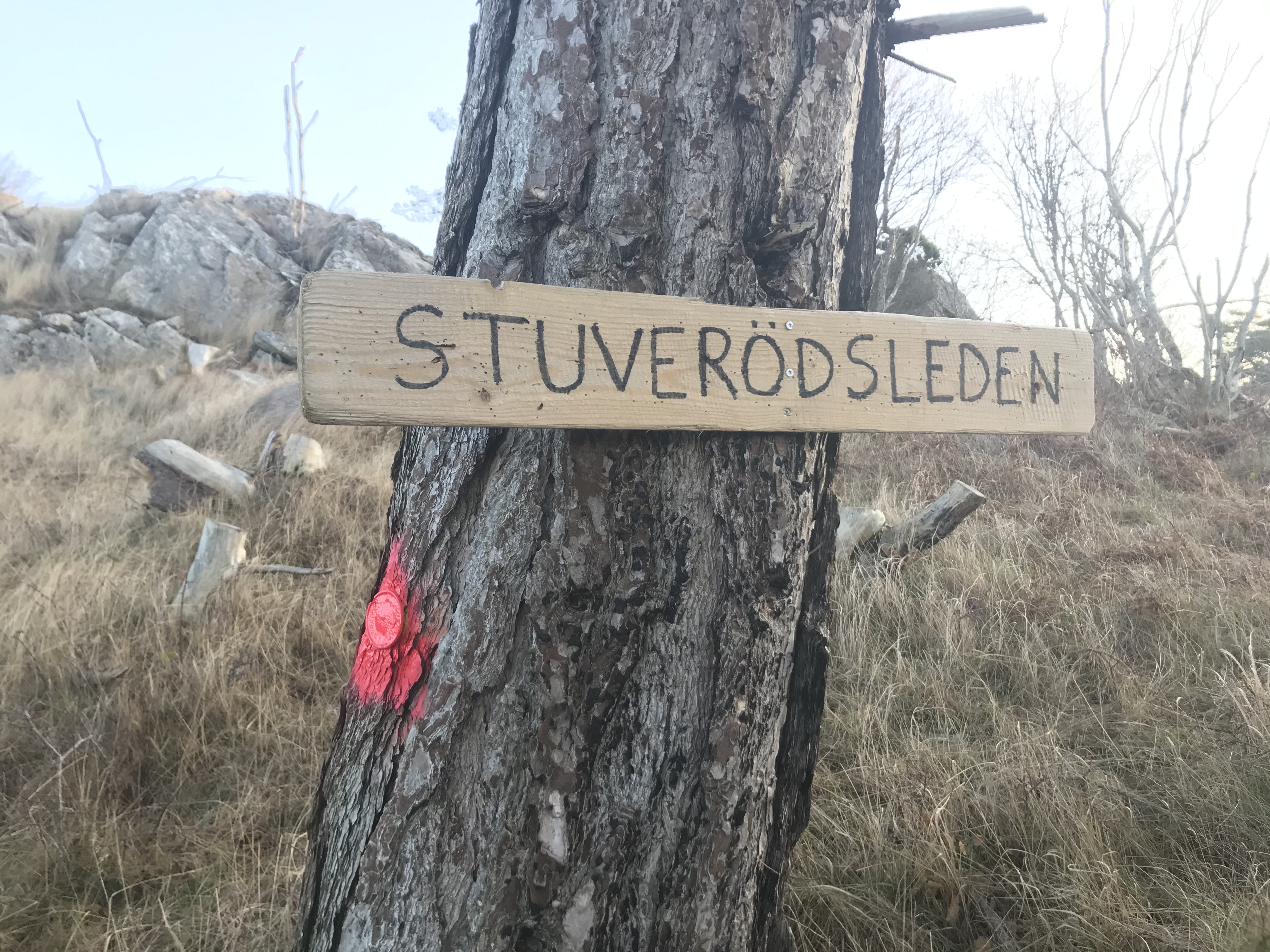 Stuverödsleden stuveröds hagar