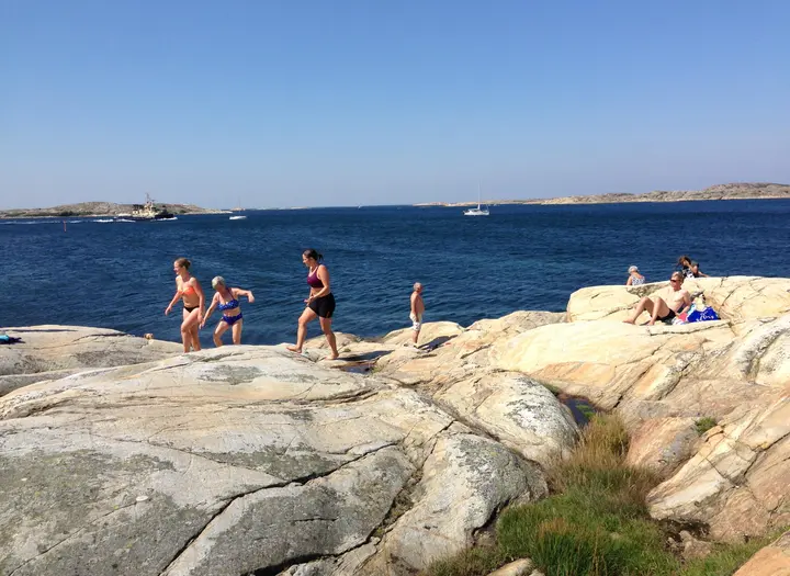 Vigerna