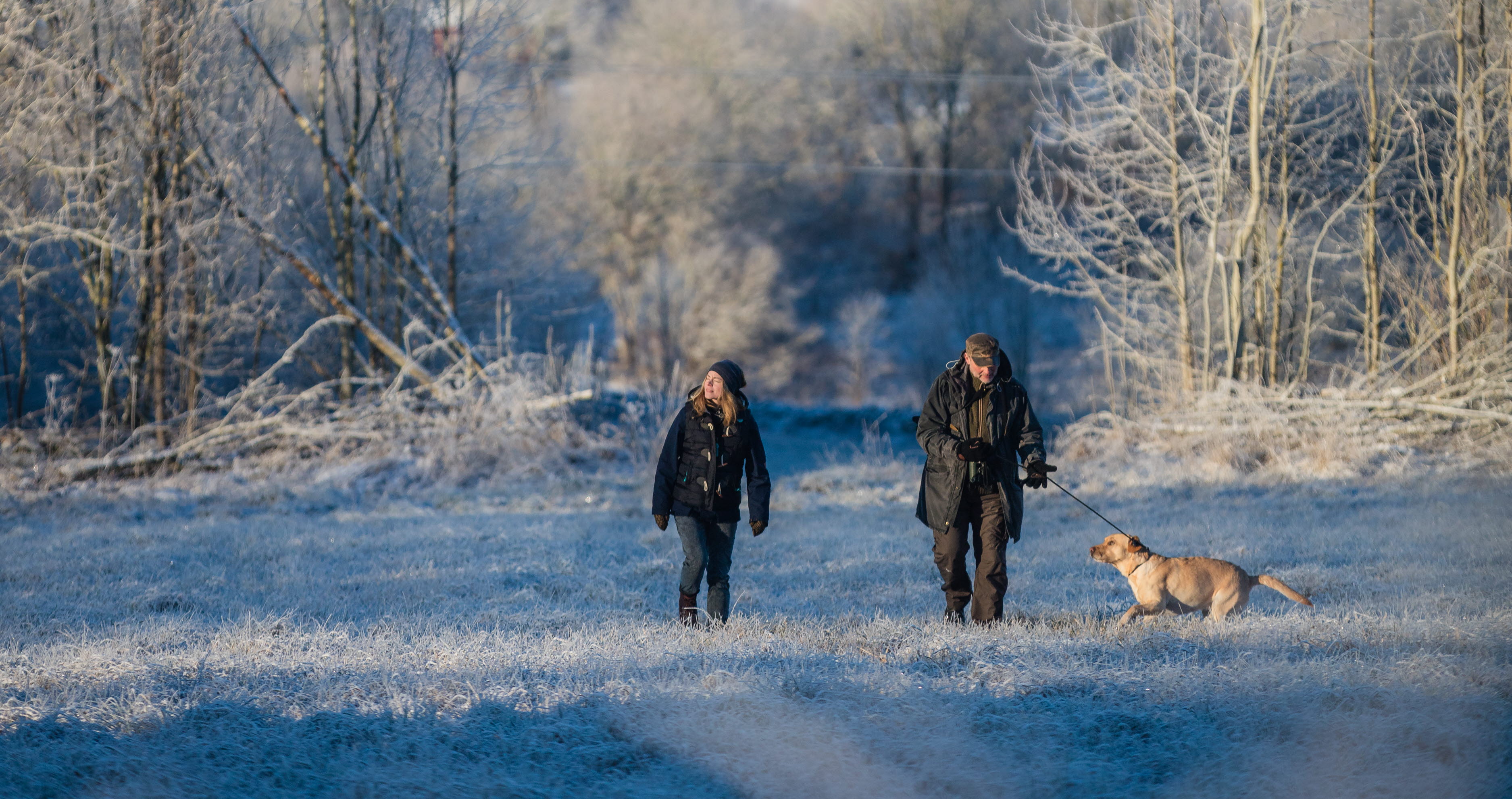Två personer med hund promenerar i frostigt vinterlandskap med Hornborgasjön i bakgrunden