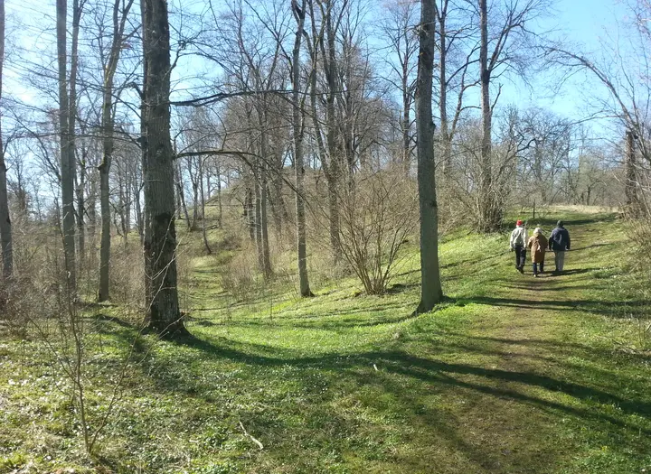 5 - Vandringsled Drottningkullen