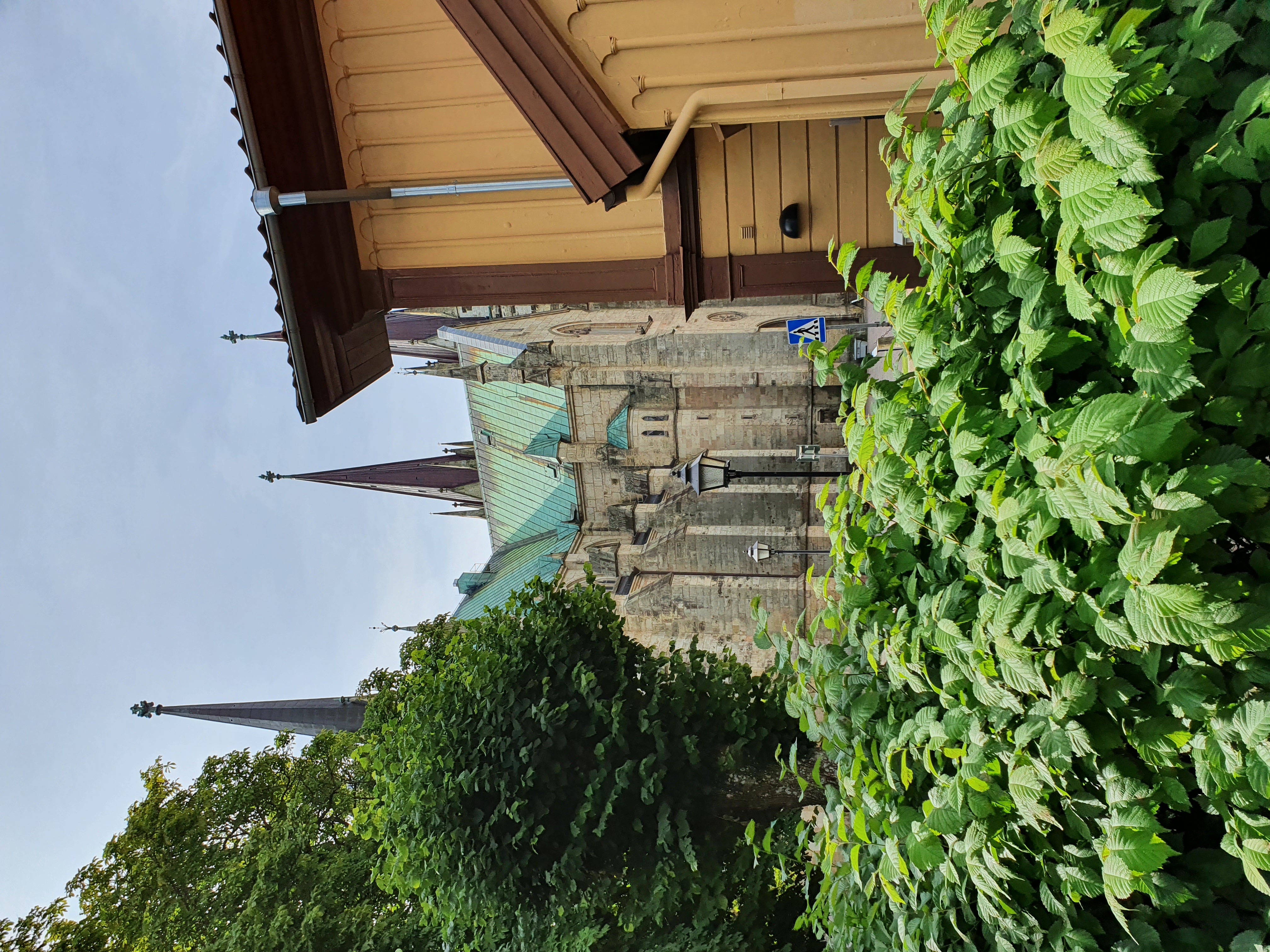 En grönskande bild från Skara centrum. I förgrunden syns gröna buskar och ett gult gammalt trähus, och i bakgrunden syns Skara domkyrka.