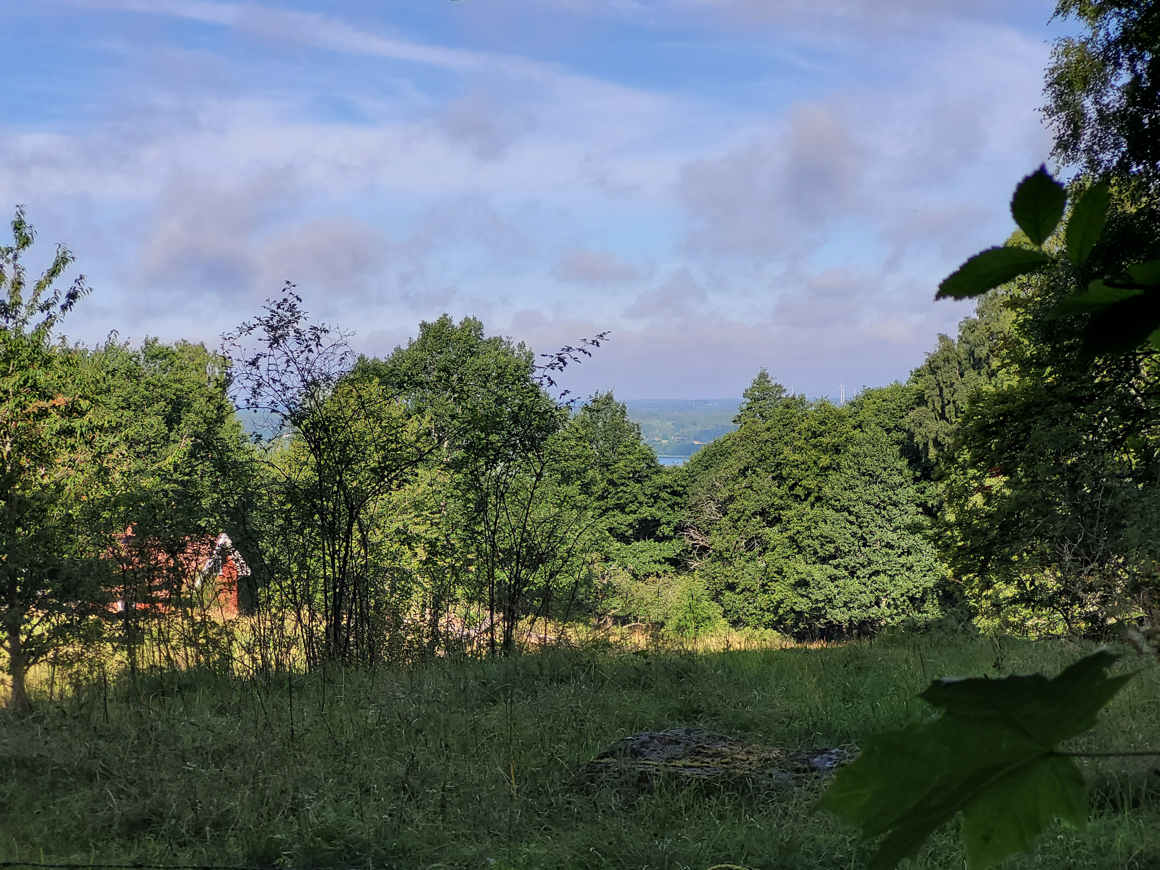 Grönskande hagmark med ett litet rött hus i bakgrunden.