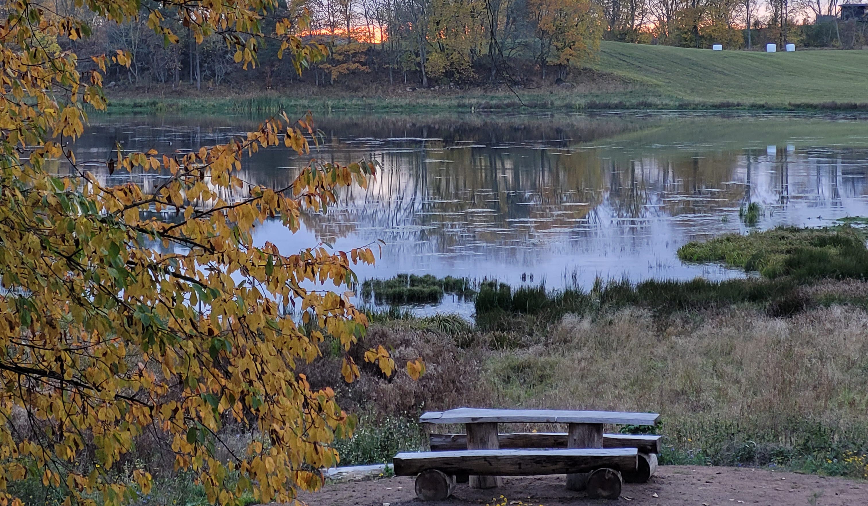 En sjö. Framför sjön finns en sittbänk. I förgrunden syns gula höstlöv. 