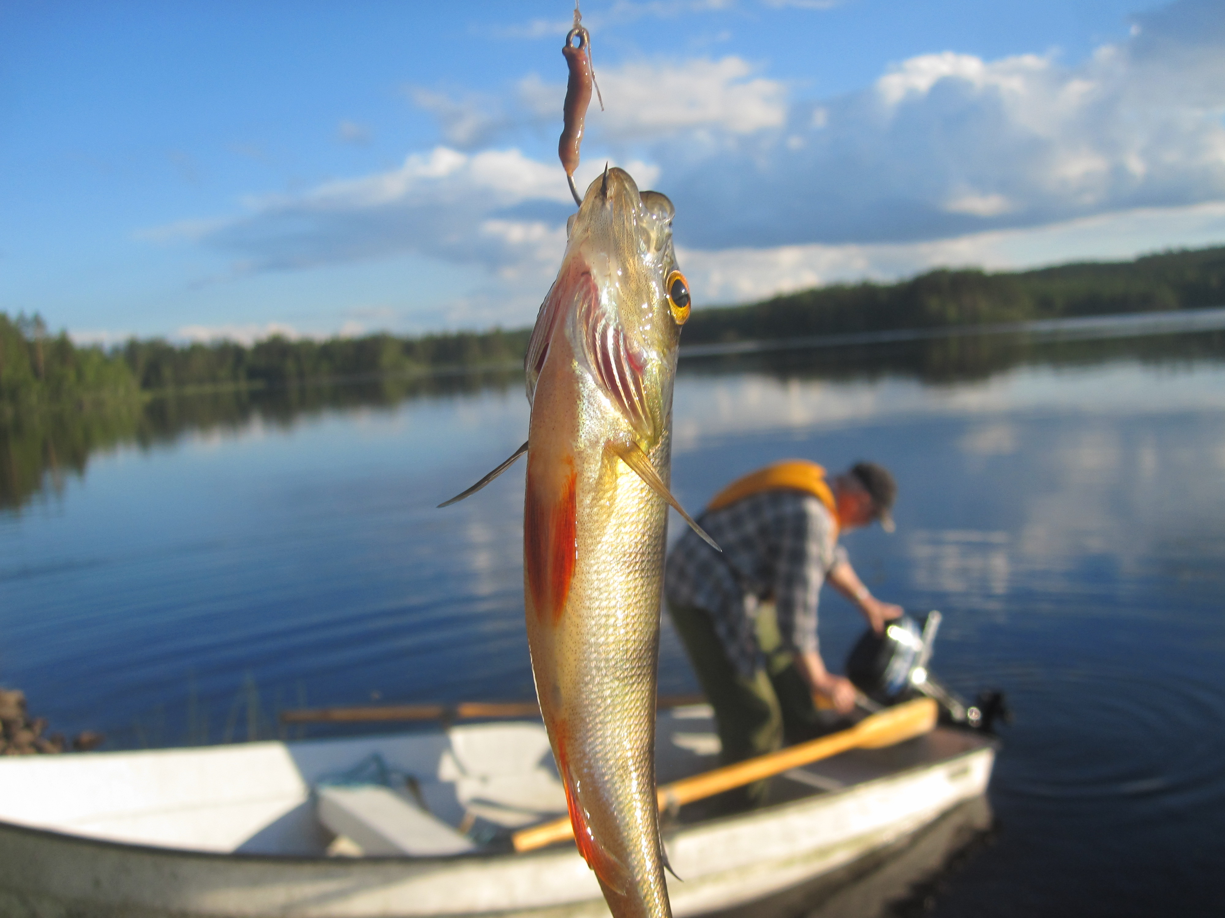 Fiskemöjligheter i Skaratrakten