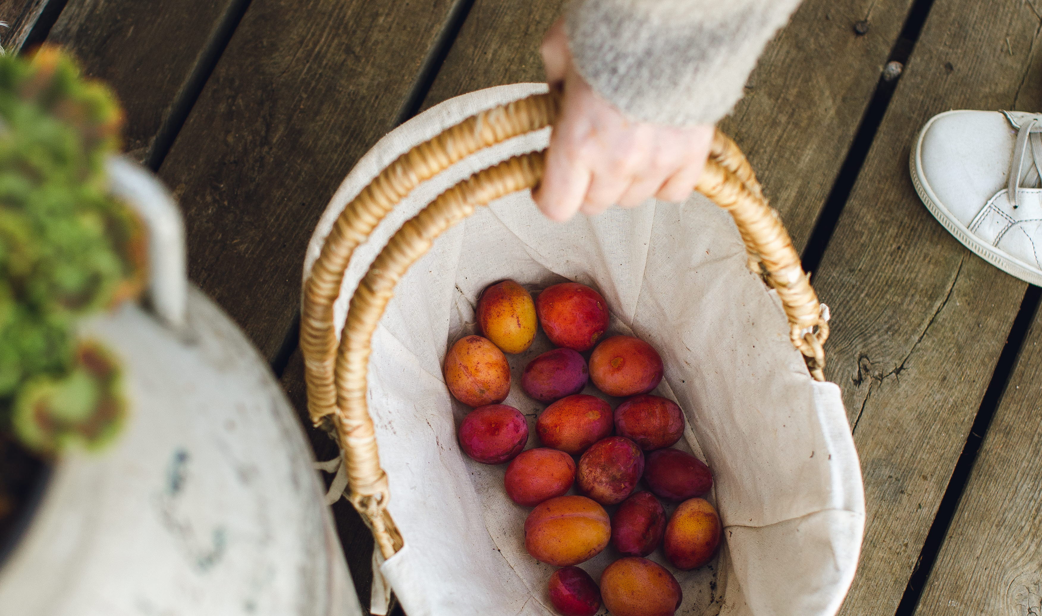 En arm lyfter en korg med plommon.