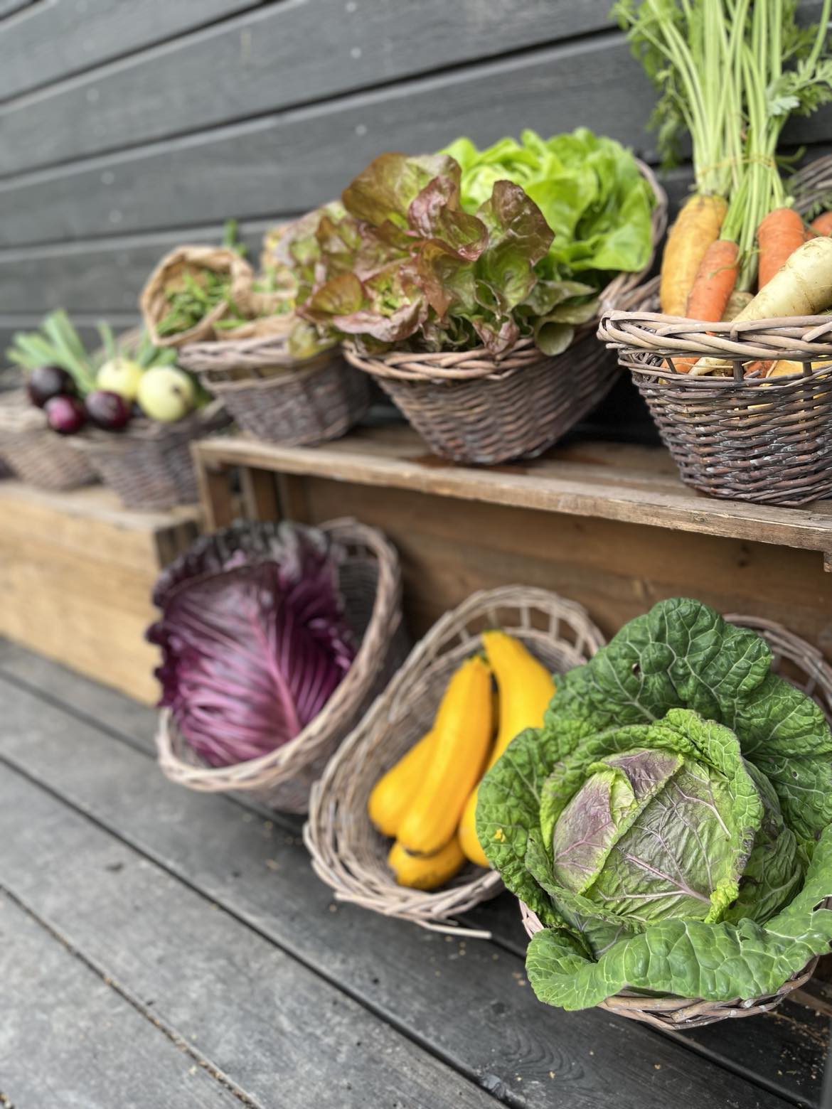 Alekärrs ekologiska gård - gårdsbutikens sortiment, grönsaker