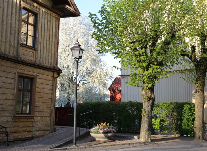 Temavandring - Tusen år har gjort oss kloka